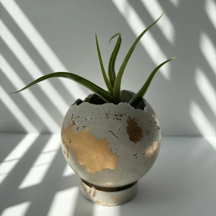 Mini-Moon 3” Pot | Sphere Planter | Ball Concrete Planter