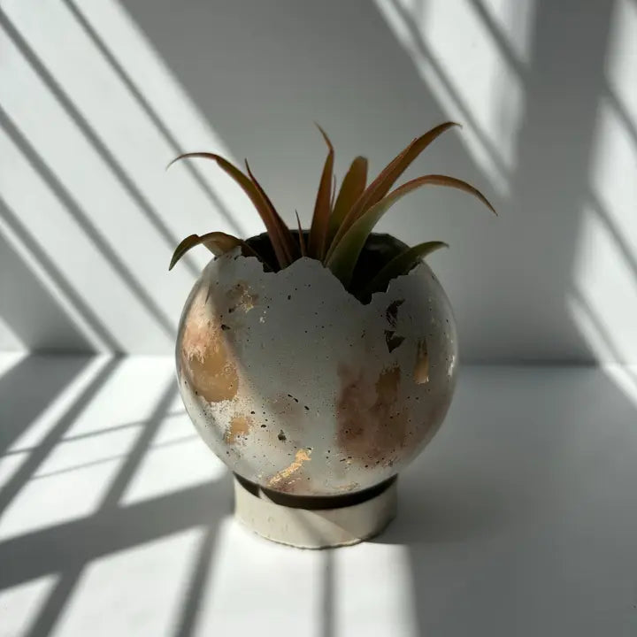Mini-Moon 3” Pot | Sphere Planter | Ball Concrete Planter